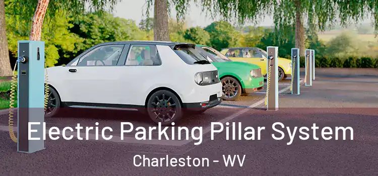 Electric Parking Pillar System Charleston - WV