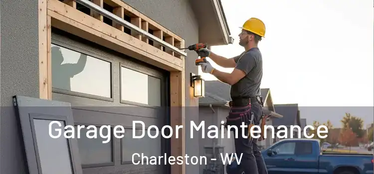 Garage Door Maintenance Charleston - WV