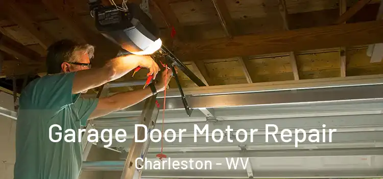  Garage Door Motor Repair Charleston - WV