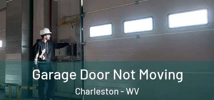  Garage Door Not Moving Charleston - WV