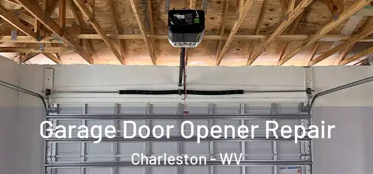  Garage Door Opener Repair Charleston - WV