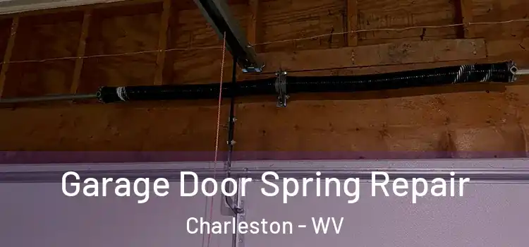  Garage Door Spring Repair Charleston - WV