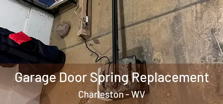  Garage Door Spring Replacement Charleston - WV