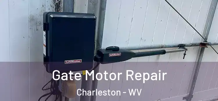 Gate Motor Repair Charleston - WV