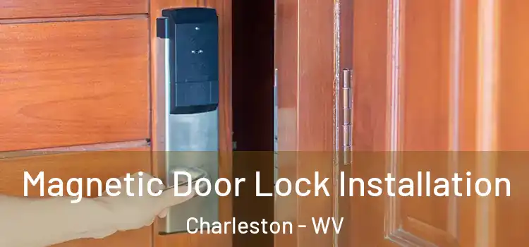  Magnetic Door Lock Installation Charleston - WV