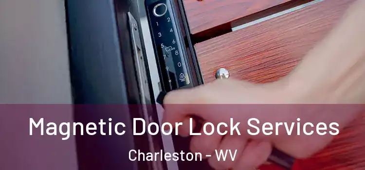 Magnetic Door Lock Services Charleston - WV