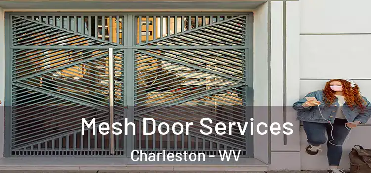 Mesh Door Services Charleston - WV