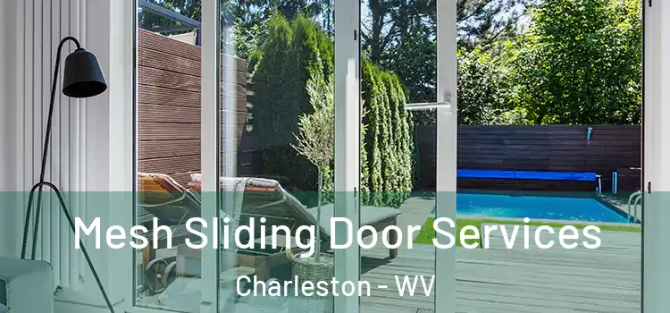 Mesh Sliding Door Services Charleston - WV